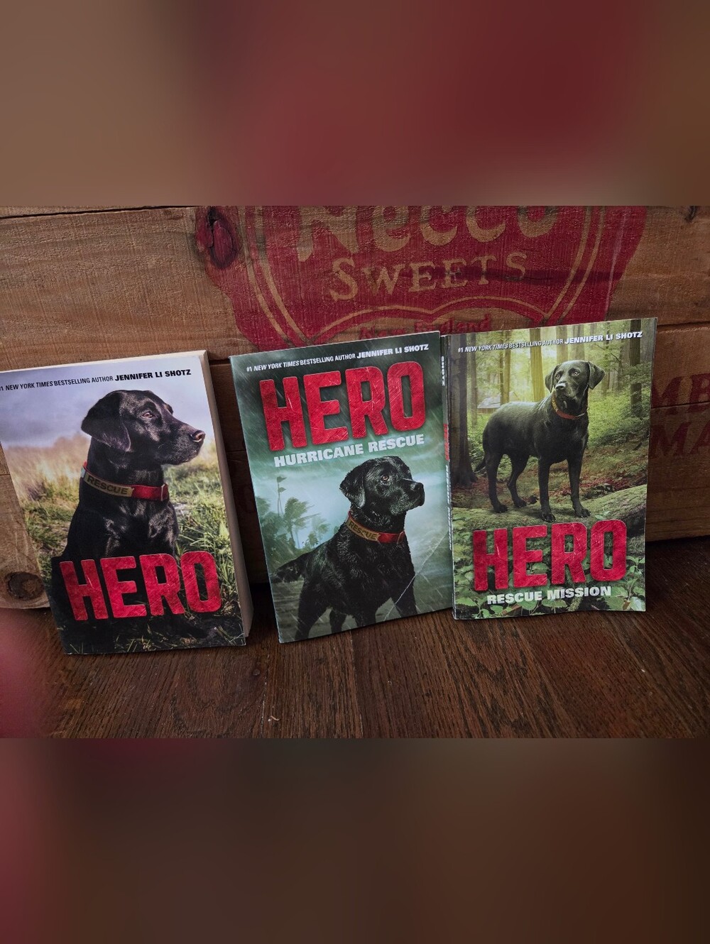 Lot Of Three "HERO" Paperback Kids books